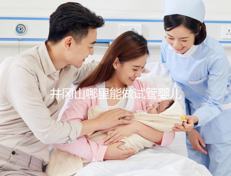 井岡山哪里能做試管嬰兒？江西省內這些地方都可以