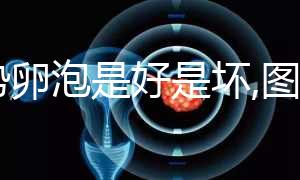 優勢卵泡是好是壞,圖片僅供認識,判斷還需要3點