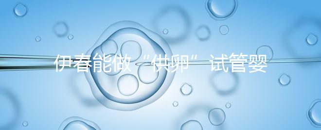 伊春能做“供卵”試管嬰兒嗎?你們想知道的答案在這里