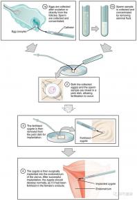 不知欽州哪家男科醫(yī)院好戳,機構(gòu)能不能一目了然
