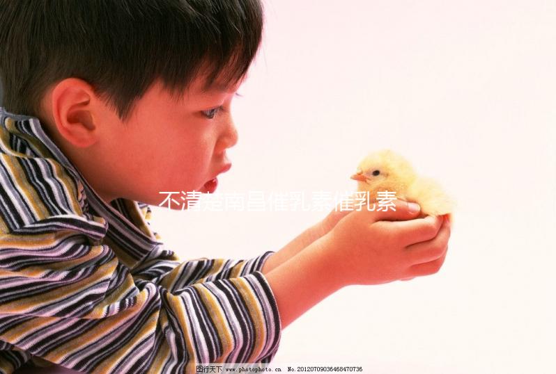 不清楚南昌催乳素催乳素催收如何收費(fèi)快速閱讀,專(zhuān)業(yè)問(wèn)題讓你花更少的錢(qián)