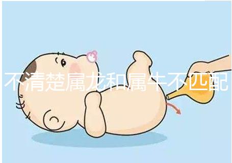 不清楚屬龍和屬牛不匹配戳，再一起看財運就夠了