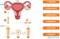 不造十堰市太和醫(yī)院做試管怎么樣？看看透明助孕費(fèi)用就明了