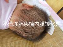 不造凍胚移植內(nèi)膜轉(zhuǎn)化是什么意思？介紹了C型能否改善