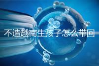 不造越南生孩子怎么帶回國戶口？流程和資料都有