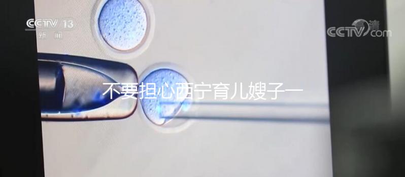 不要擔(dān)心西寧育兒嫂子一個(gè)月多少錢,關(guān)心機(jī)構(gòu)是否正式