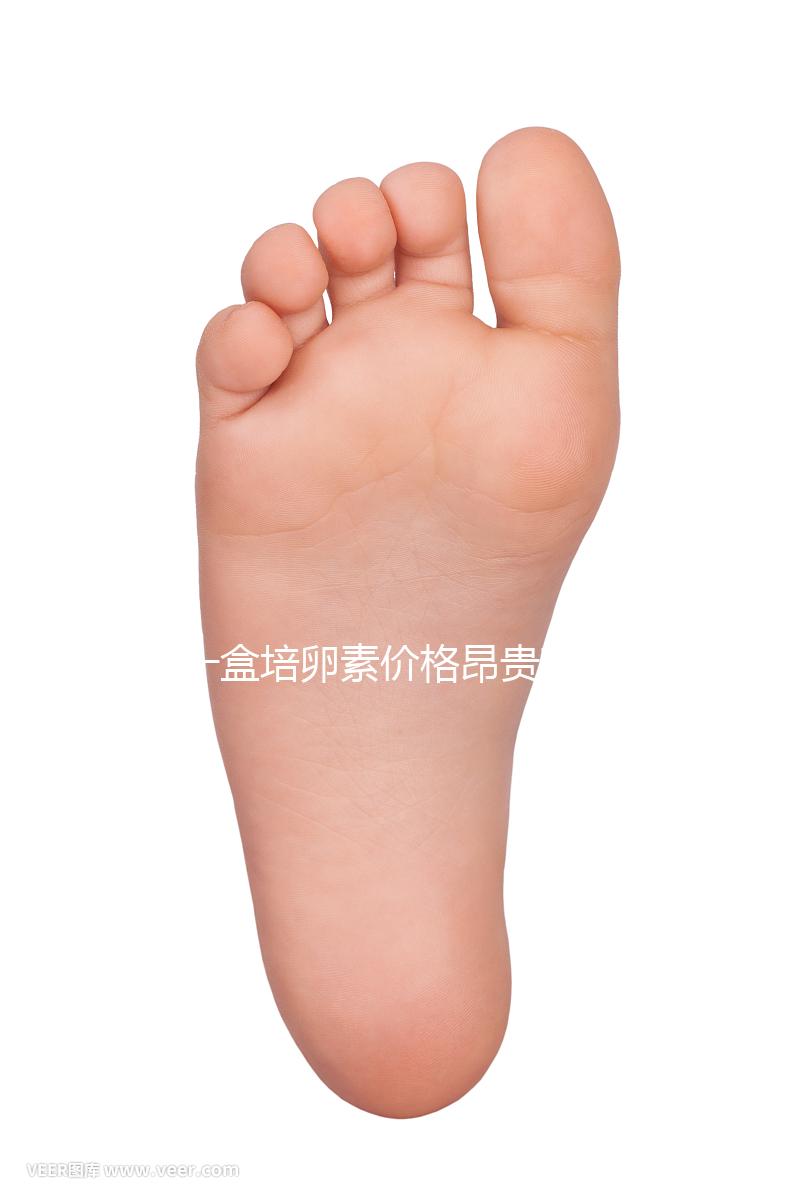 一盒培卵素價格昂貴有原因,避免假貨請選擇正規渠道