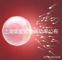 上海集愛試管成功率公布，排名輕松進(jìn)入全國(guó)前二十！