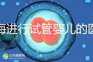 上海進行試管嬰兒的醫(yī)院排名