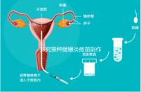 探究接種腮腺炎疫苗副作用，出現(xiàn)發(fā)燒用這3招應對自如