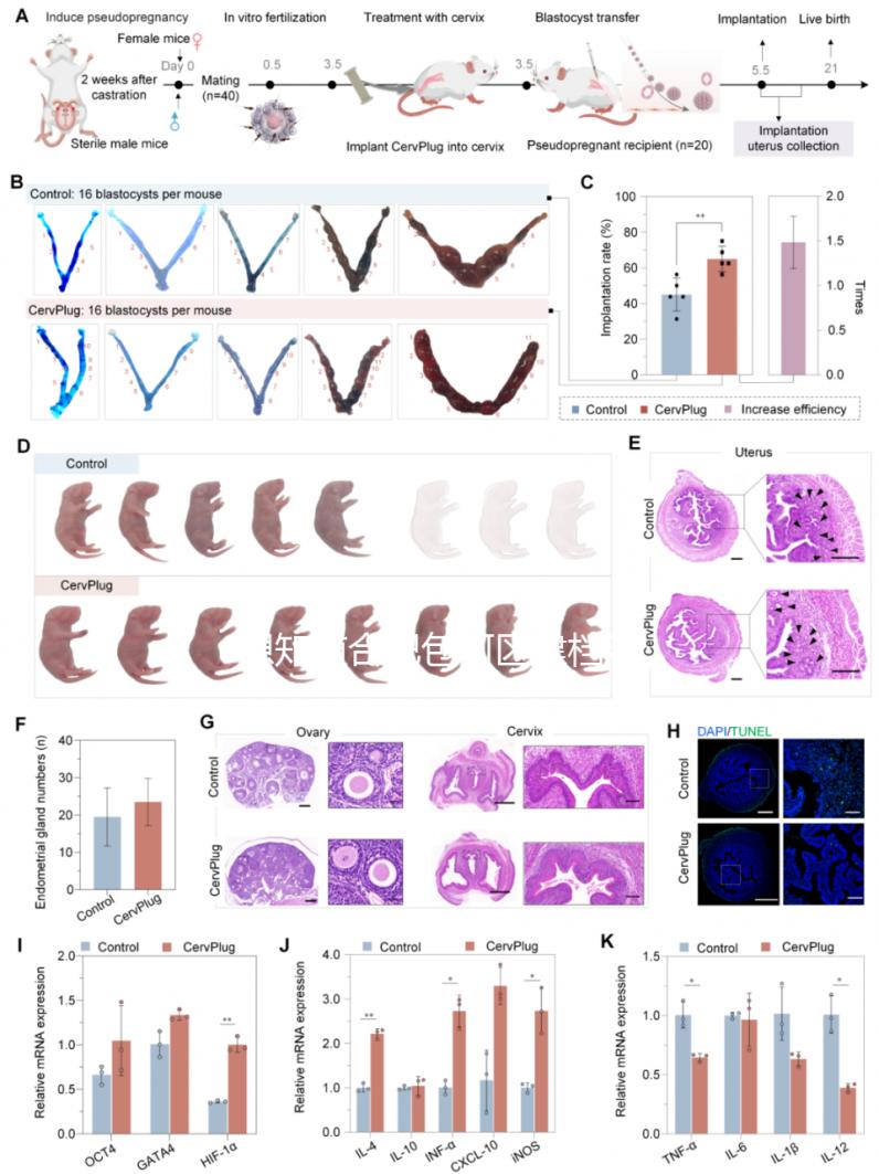 想知道合肥包河區建檔流程戳進來，一文說清要不要結婚證