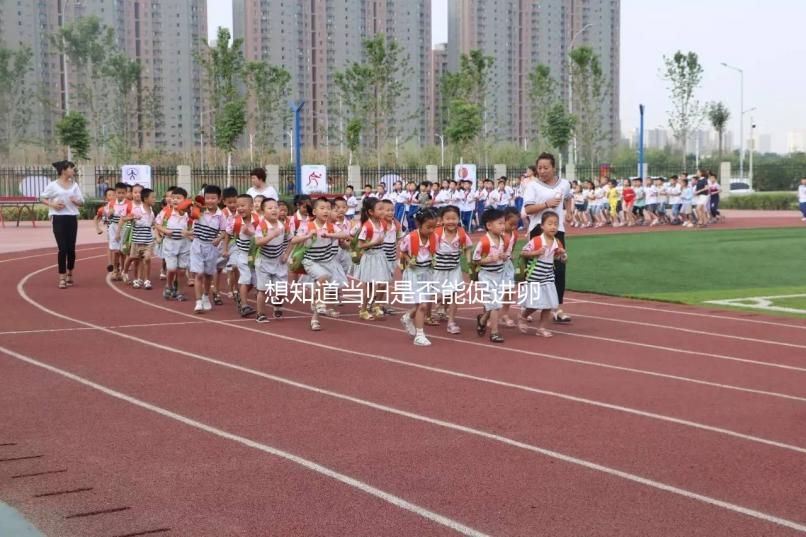 想知道當歸是否能促進卵泡發(fā)育,加入棗也能補充內膜