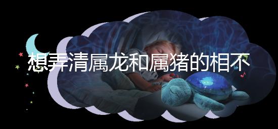 想弄清屬龍和屬豬的相不相配速覽，合得來不都幫你總結了