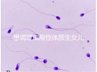 想調(diào)理成酸性體質(zhì)生女兒看過來,這3大食譜科學(xué)又安全