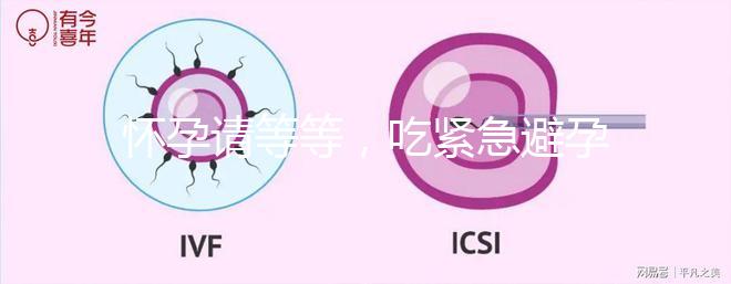 懷孕請等等，吃緊急避孕藥多久能有性生活看專家怎么說