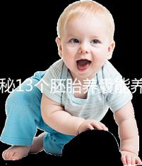 揭秘13個胚胎養(yǎng)囊能養(yǎng)成幾個,別以為6個著床幾率就高