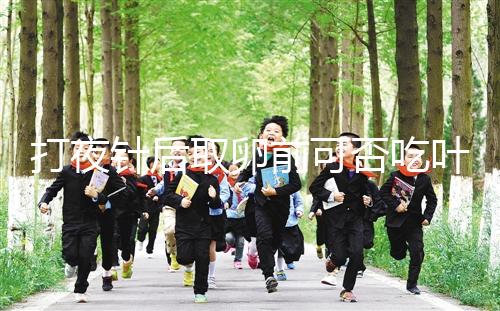 打夜針后取卵前可否吃葉酸看這，能提高卵子質(zhì)量可別不信