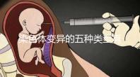 染色體變異的五種類型真古怪,缺失、重復(fù)等意想不到