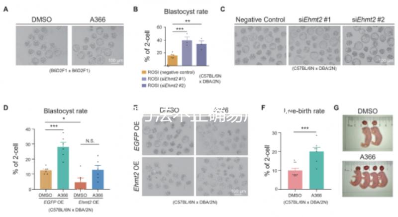 服用方法不正確易產(chǎn)生不良反應(yīng)?利維愛(ài)的副作用解析