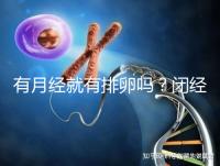 有月經就有排卵嗎？閉經、絕經還能做試管嬰兒嗎？