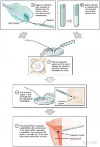武漢四維彩超費用表整理,內(nèi)附市婦保院超全預約攻略