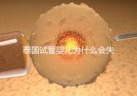 泰國(guó)試管嬰兒為什么會(huì)失敗?原因有5個(gè),第一個(gè)我們常說(shuō)