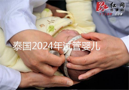 泰國2024年試管嬰兒攻略索引：證書，結婚證是硬條件