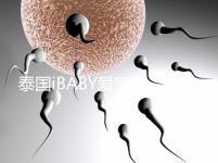 泰國iBABY愛寶貝：中介不輕信，甄別試管嬰兒真假宣傳