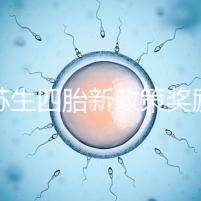 江蘇生四胎新政策獎(jiǎng)勵(lì)多少錢瞧,2024發(fā)放標(biāo)準(zhǔn)了解下