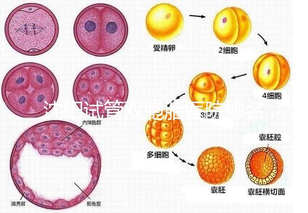 沈陽試管雙胞胎醫(yī)院排名速覽,60s告訴你皇姑區(qū)有哪些