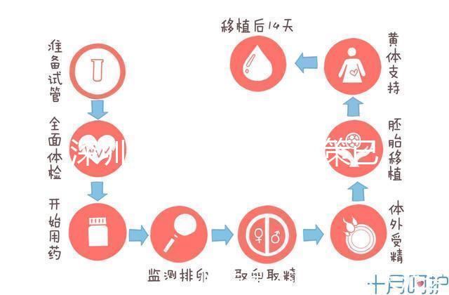 深圳最新獨(dú)生子女政策已出爐,羅湖、南山區(qū)補(bǔ)貼金均有提高