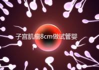 子宮肌瘤8cm做試管嬰兒?要做好這5點(diǎn)“好孕”才會上門
