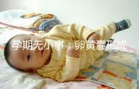 孕期無(wú)小事:卵黃囊形成到胎芽出現(xiàn)時(shí)間早了解早放心