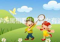 孕媽屬相看生男生女有講究,方法沒找對測試結(jié)果有誤差