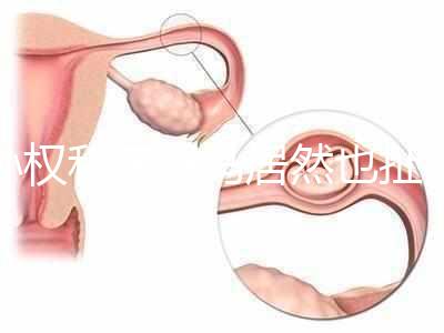 孫權(quán)和奧巴馬居然也扯得上關系:他們都是混血兒