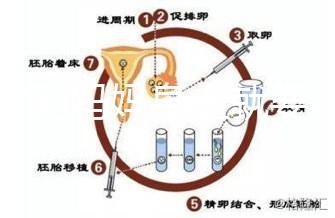 寶寶到媽媽身上就要吃解決方法來了,奶瓶作用大別忽略