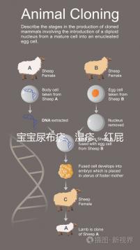 寶寶尿布疹、濕疹、紅屁股傻傻分不清？4點區別輕松診斷