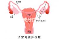 寶寶金水成分由這4種中藥材構成,對寶寶有益無害