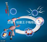 實錘！哈里王子梅根正式公布寶寶名字：阿爾奇·哈里森