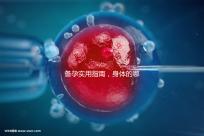 備孕實用指南，身體的哪些感覺提示正在排卵？