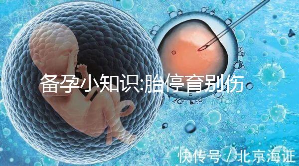 備孕小知識:胎停育別傷心,一個事實(shí)告訴你這是好事