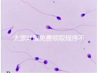 太原葉酸免費(fèi)領(lǐng)取程序不難，@準(zhǔn)媽媽們：小店區(qū)這里可領(lǐng)