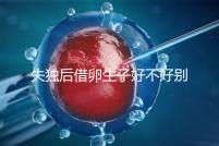 失獨后借卵生子好不好別還不造，供卵or領養(yǎng)過來人感受更深