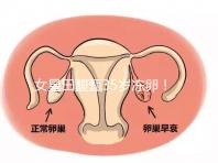 女星田馥甄35歲凍卵!揭秘你不知道的明星凍卵過程