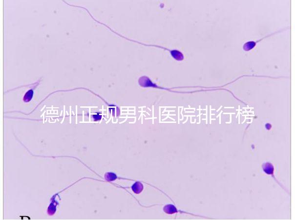 德州正規(guī)男科醫(yī)院排行榜分享!2024哪個(gè)最好一看便知