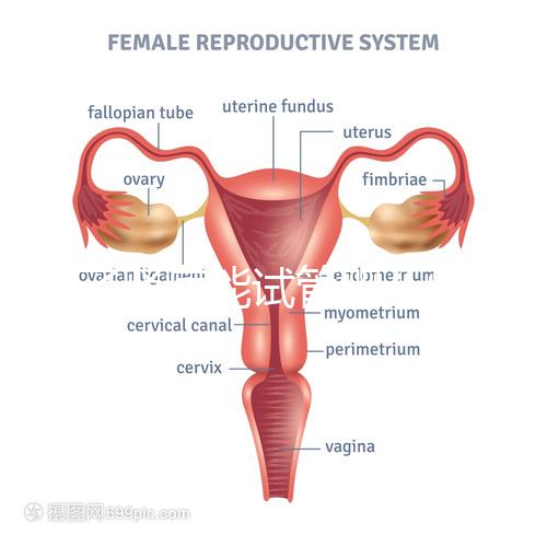 得了腎病能試管嬰兒懷孕嗎？哪些腎臟病不適宜懷孕？