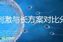 微刺激與長方案對比分析，5大區別告訴你選哪個好