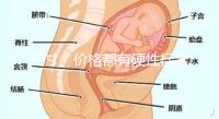 尺寸、價格都有硬性標準,選擇雙胞胎嬰兒床決不可大意!