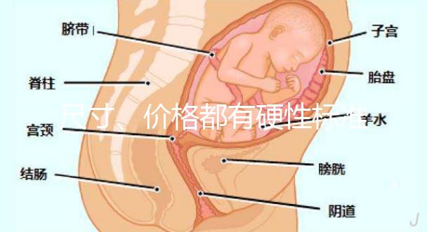 尺寸、價格都有硬性標(biāo)準(zhǔn),選擇雙胞胎嬰兒床決不可大意!