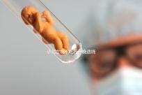 小兒發(fā)燒不吃藥一晚退燒的五個秘方來了,家里沒藥也不慌